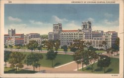 University of Chicago Campus, Chicago Postcard