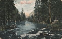 Merced River, Yosemite Valley Postcard