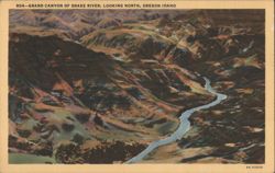 Grand Canyon of Snake River, Looking North, OR.ID Postcard
