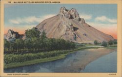 Malheur Butte and Malheur River, Oregon Postcard