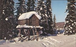 Alaskan Food Cache on Stilts, Winter Forest Scene Postcard