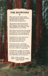 THE REDWOODS Poem by Joseph B. Strauss Postcard