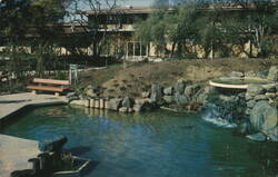 Pioneer Park and City Library, Mountain View Postcard