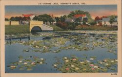 Dupont Lake, Lily Pads, Bridge - Rehoboth Beach, DE Postcard