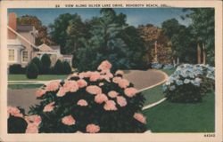 View Along Silver Lake Drive Postcard