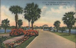 A Glimpse of Clearwater, Fla. from the Memorial Causeway Postcard
