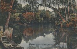 Beautiful Suwannee River, Florida Postcard