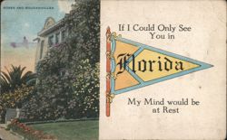 Roses & Bougainvillea House, Florida Pennant Postcard