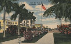 The Park, Hollywood, Florida Postcard