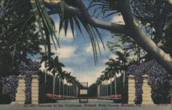 Entrance to Clubhouse, Hialeah Race Course Royal Palm Driveway Postcard