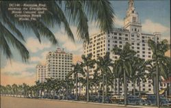 Biscayne Blvd. Everglades, Miami Colonial, Columbus Hotels Postcard