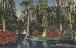 Reflection Pool, Beautiful Florida Cypress Gardens Postcard