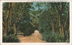 Henry Ford's Winter Home, Fort Myers, FL Postcard
