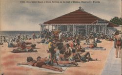 Clearwater Beach at Palm Pavilion on the Gulf of Mexico Postcard