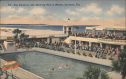 The Sarasota Lido, Gulf of Mexico, Swimming Pool Postcard