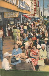 Famous Green Benches, St. Petersburg, FL Postcard