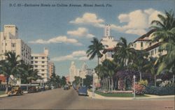 Exclusive Hotels on Collins Avenue, Miami Beach Postcard
