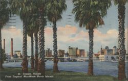 Tropical Man-Made Davis Islands, Tampa Skyline & Palms Postcard