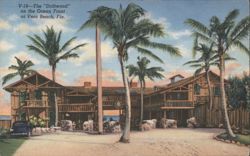 The 'Driftwood' Hotel, Vero Beach, Florida Postcard