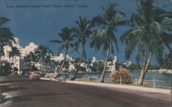 Palm Studded Indian Creek, Miami Beach, Florida Postcard