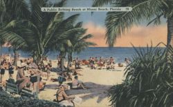 A Public Bathing Beach at Miami Beach Postcard