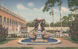 Famous Fountain of Turtles, Ringling Art Museum Postcard
