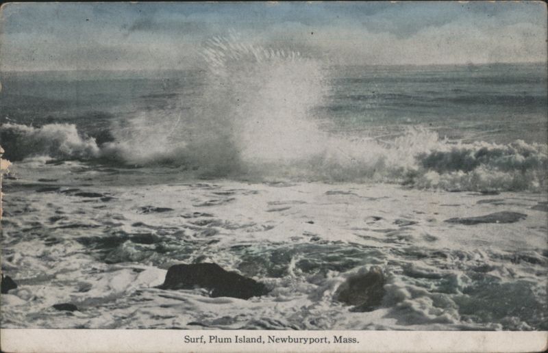 Surf, Plum Island Newburyport Massachusetts