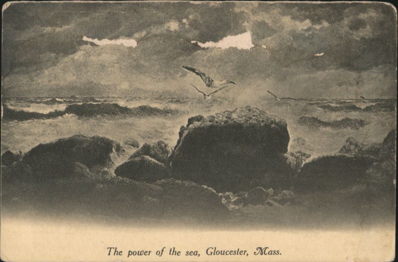 The Power of the Sea, Rocks and Gulls Gloucester Massachusetts
