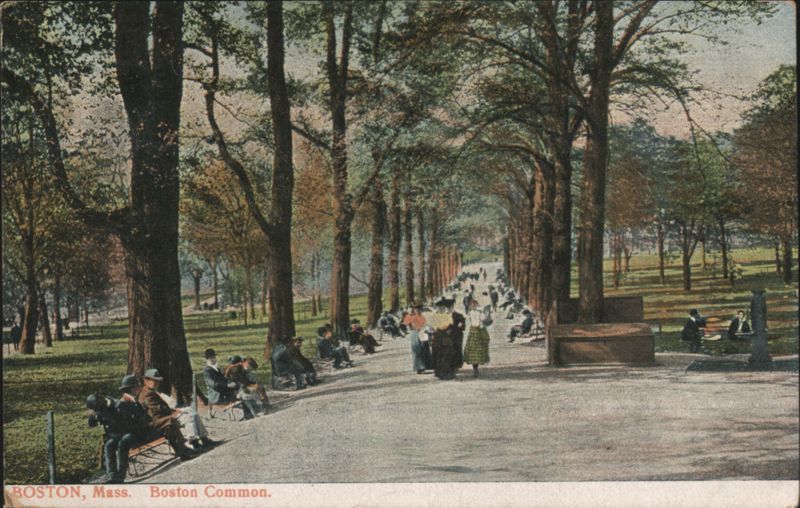 Boston Common Tree-Lined Path with People Massachusetts