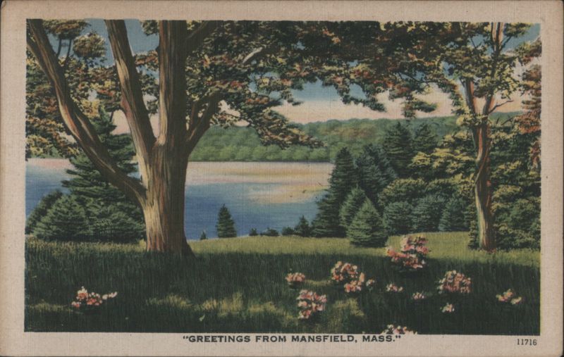 Mansfield, Mass. Scenic Lake & Trees Massachusetts
