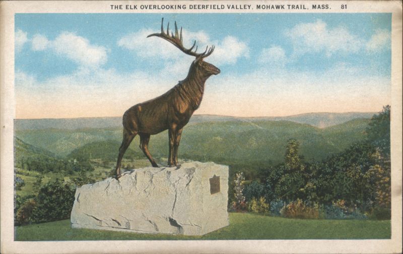 The Elk Overlooking Deerfield Valley, Mohawk Trail Massachusetts