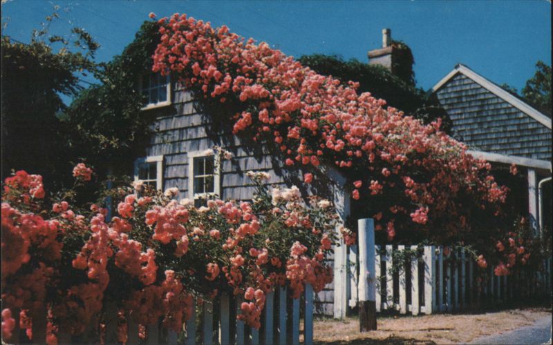 Rose Covered Cottages, Cape Cod Massachusetts