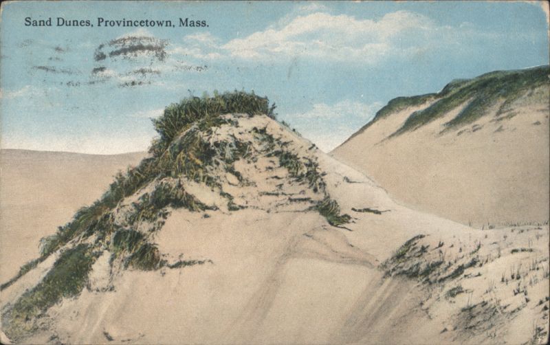 Sand Dunes with Vegetation, Provincetown, MA Massachusetts