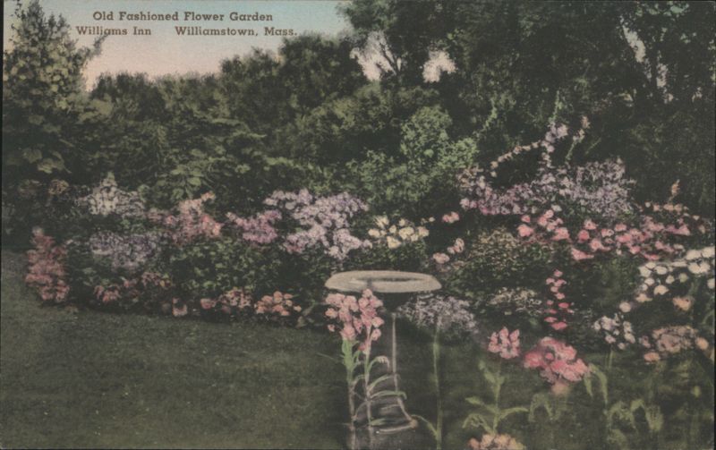 Old Fashioned Flower Garden, Williams Inn Williamstown Massachusetts