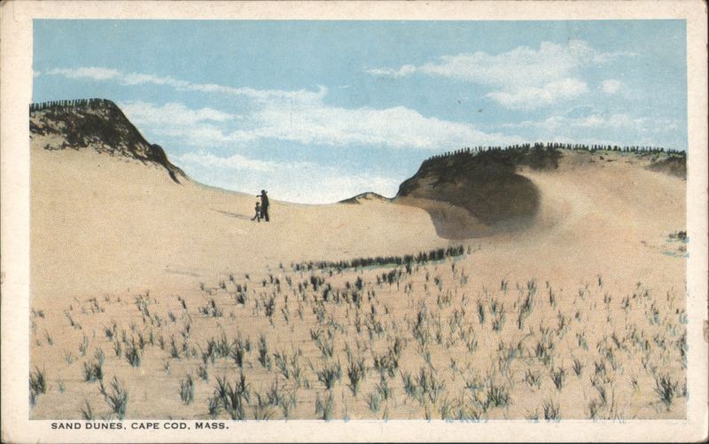 Sand Dunes, Cape Cod Massachusetts