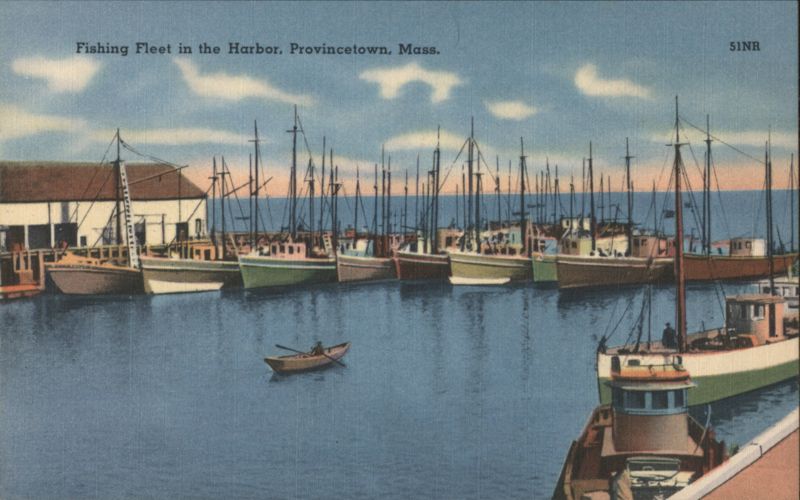 Fishing Fleet in the Harbor, Provincetown, Mass. Massachusetts