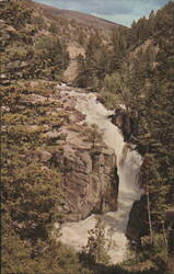 Shell Creek Falls, Big Horn Mountains, Wyoming Postcard