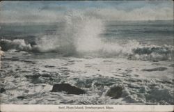Surf, Plum Island Postcard