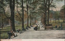 Boston Common Tree-Lined Path with People Postcard