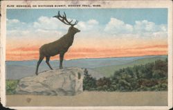 Elks' Memorial on Whitcomb Summit, Mohawk Trail, MA Postcard