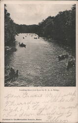 River View from B. A. A. Bridge with Rowboats Postcard