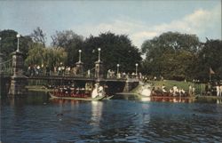 Swan Boats, Public Gardens, Back Bay Postcard