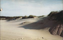 Shadows of the Dunes, Cape Cod, MA Postcard
