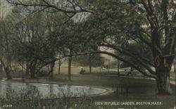 Public Garden View with Pond and Arching Trees Postcard