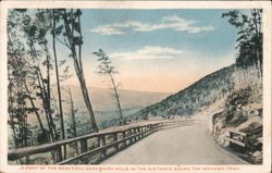 Mohawk Trail, Berkshire Hills Road View Postcard