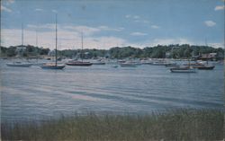 Cohasset Harbor Sailboats Massachusetts Postcard
