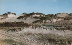Picturesque Sand Dunes, Cape Cod, MA Postcard
