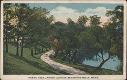 Scene Near Jacobs Ladder, Berkshire Hills, MA Postcard