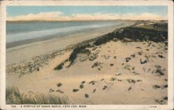 A Stretch of Sandy Beach, Cape Cod Postcard