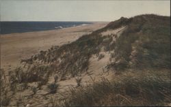 Sand, Grass, and Surf of Outer Cape Cod Postcard